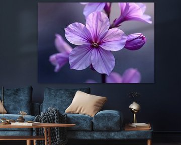 Close-up foto van een Lavatera bloem van Markus Gann