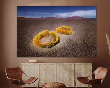 Andean landscape with golden Punagras by Chris Stenger