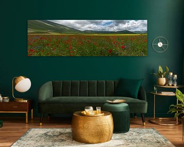 Poppies at Piano Grande, Umbrien, Italy van Frank Lavooij