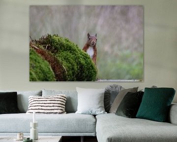 Eichhörnchen, was siehst du da?