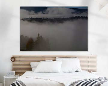 BAVARIAN FOREST 2 by Miroslav Ptacek