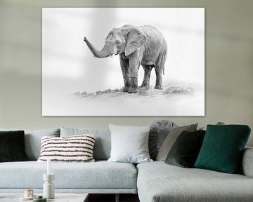 Schwarz-Weiß-Porträt eines afrikanischen Elefanten in Hochtönen von Chris Stenger
