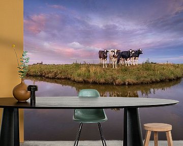 Nieuwsgierige koeien in het landschap