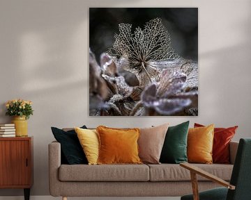 Hydrangea on a bed of ice crystals.