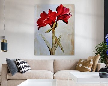 Amaryllis. by Jose Leeuwis