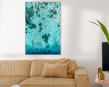 Aerial Summer - Baby Blue