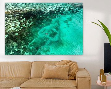 Aerial Summer - Green Ocean Reef