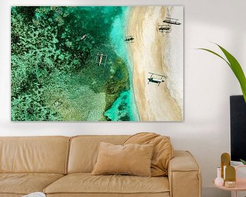 Aerial Summer - Jade Coral Reef