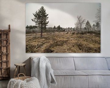 Reise von Urho Kekkonen