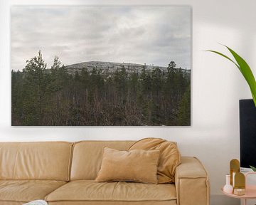 Reise von Urho Kekkonen