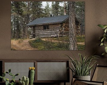 Reise von Urho Kekkonen