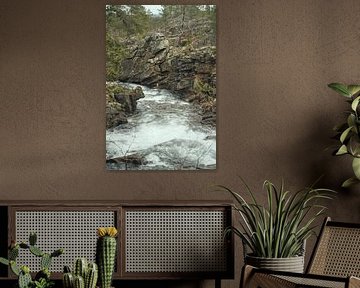 Reise von Urho Kekkonen