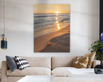 Gouden Zonsondergang Schelp