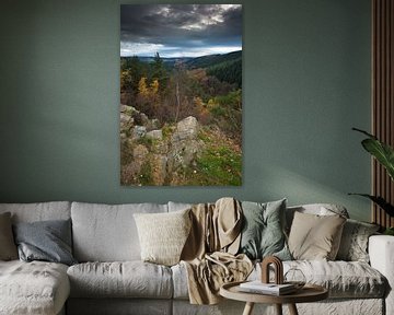 Rotsformatie in de Belgische Ardennen in de herfst. 