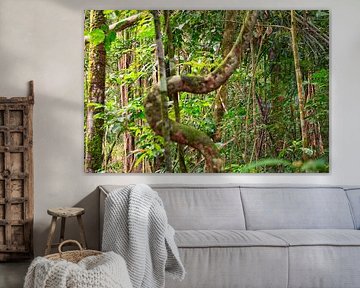 Green nature in Suriname