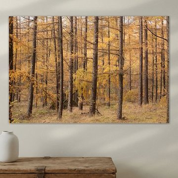 Autumn forest on the Utrecht Ridge