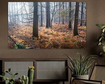 Forêt d'automne sur la crête d'Utrecht