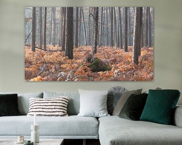 Forêt d'automne sur la crête d'Utrecht