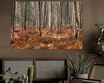 Forêt d'automne sur la crête d'Utrecht