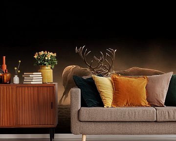 Burlend Duel in Gouden Ochtendnevel