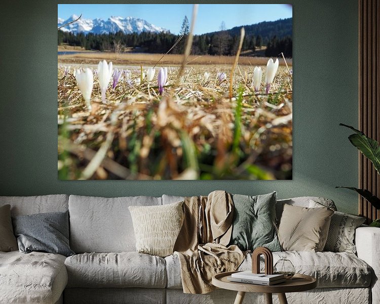 Aperçu de la chambre