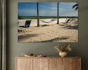 USA Florida von Tim Lee Williams