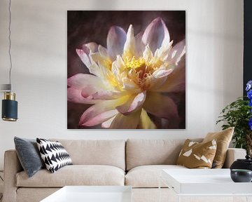 Le Lotus qui se déploie II