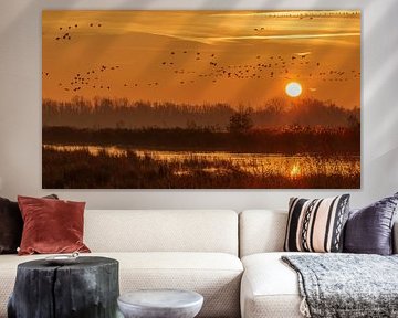 Dawn over the Biesbosch