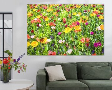 Schöne bunte Wildblumen