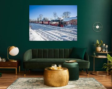 The Brocken railway at Schierke station by t.ART