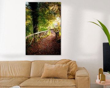 Automne sur Rene scheuneman