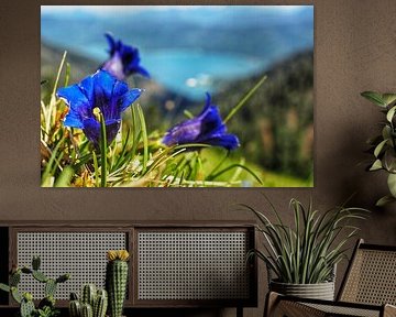 Spectaculair Zwitsers Alpenlandschap met gletsjer - krachtig berglandschap, glinsterend ijs en een indrukwekkende sfeer in het hooggebergte. Een krachtig motief voor echte Alpenliefhebbers. van Miriam Schwarzfischer Fotografie