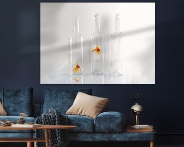 Goldfisch in der Flasche von Christiane Calmbacher