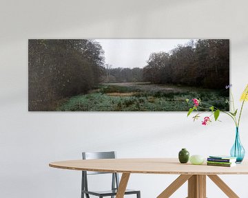 Ein Panorama einer Wiese