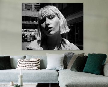 Shadowlight on Broadway