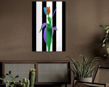 Königlich Niederländische VII