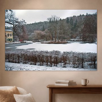 Frozen pond at the Bad Freienwalde moor bath in the Oderbruch region