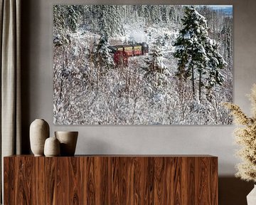 The Brocken railway near Schierke by t.ART