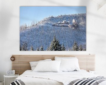 The Brocken railway on the way to the Brocken by t.ART