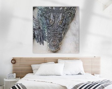 Nilkrokodil von Matthias Brix