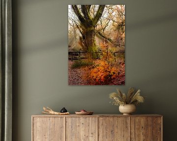 Wolfhezerheide part 150 by Tania Perneel