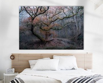 Wolfhezerheide part 153 by Tania Perneel