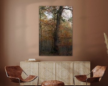 Wolfhezerheide part 154 by Tania Perneel