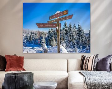 Hiking signpost near Schierke in the Harz Mountains by t.ART