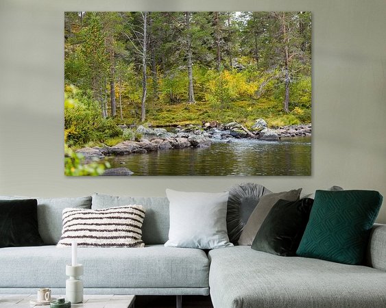 Aperçu de la chambre