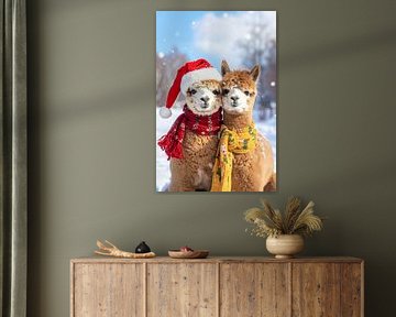 Alpacas in the snow...
