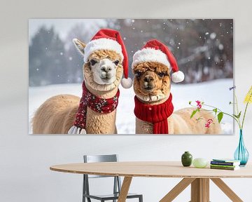 Alpacas at Christmas...
