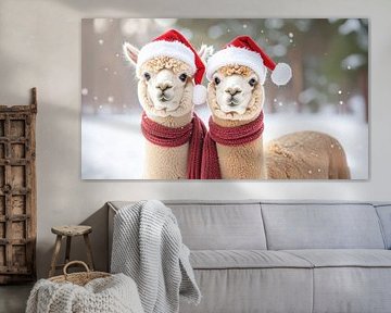 Cute alpacas at Christmas...