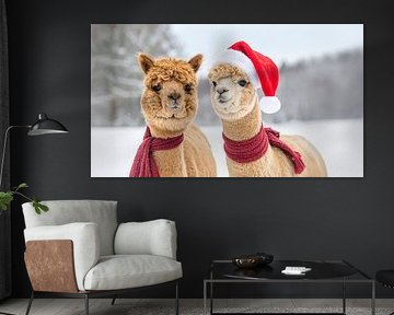 Alpacas in the snow...