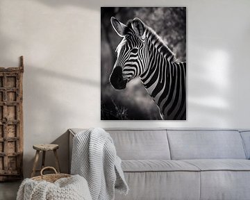Portrait de zèbre à l'élégance intemporelle en noir et blanc